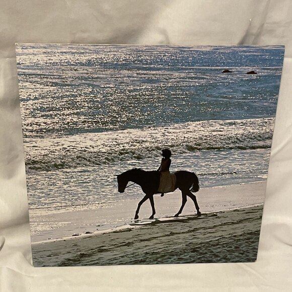 Carole King Thoroughbred (Vinyl, 1975) Ode SP 77034 VG LP Record Album - Picture 7 of 11